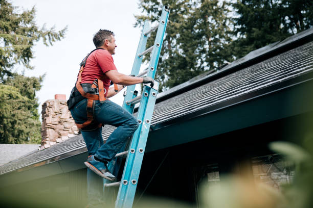 Best Roof Maintenance and Cleaning  in Lake Norman Of Catawba, NC